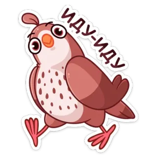 🚶‍♂️ 63094ef9 ИДУ-ИДУ uccello, cartone animato, camminando, carino, animale telegram sticker