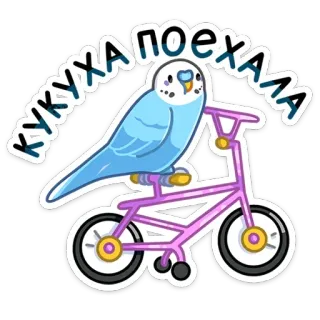 🚴‍♂️ 270be538 КУКУХА ПОЕХАЛА pájaro, bicicleta, dibujo animado, pegatina, lindo, divertido, periquito telegram sticker