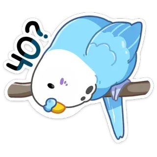 Попуги (@TgSticker) telegram stickers