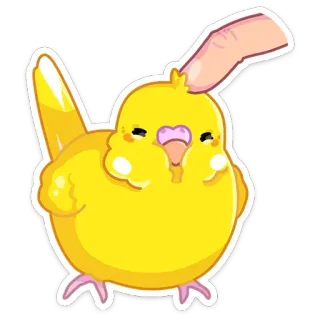 ☺️ 51da5771 pájaro, amarillo, lindo, periquito, mascota, kawaii, animal telegram sticker