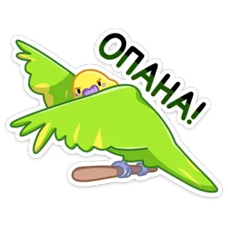 😱 90154912 ОПА! loro, pájaro, opa, ruso, sticker telegram sticker