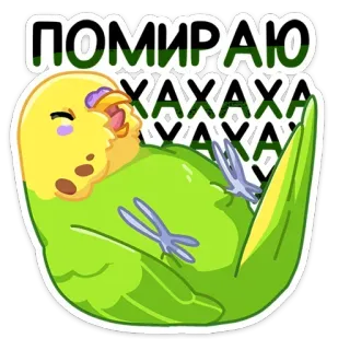 😂 9702d1d6 ПОМИРАЮ ХАХАХА periquito, pájaro, loro, verde, lindo, gracioso, pegatina, lol telegram sticker