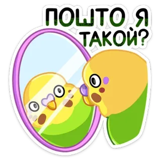 ☹️ d75aba67 ПОЧТО Я ТАКОЙ? pájaro, espejo, loro, lindo, pegatina, dibujos animados telegram sticker