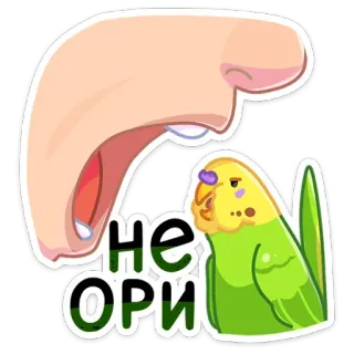 🤬 ff4067de НЕ ОРИ pájaro, loro, hablar, conversar, gritar, expresión, cara, llorar telegram sticker