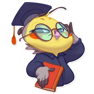 🎓 7acae369 cockatiel, bird, graduation, scholar, book, nerd, academic telegram sticker