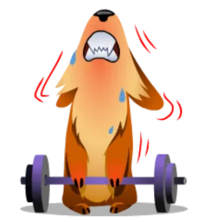 💪 37d54843 perro, fitness, halterofilia, ejercicio, dibujo animado, animal telegram sticker