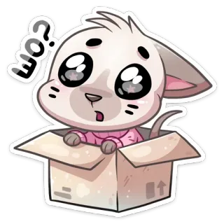 🤨 0fec1637 EGO? gato, caixa, gatinho, animal, fofo, desenho animado, pergunta whatsapp sticker