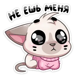 🥺 9127f5cc НЕ ЕШЬ МЕНЯ gato, fofo, desenho animado, implorando, animal, adesivo whatsapp sticker