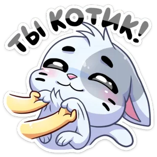 😻 e2dd0f32 ты котик! милый, кролик, кошка, кавай, стикер telegram sticker