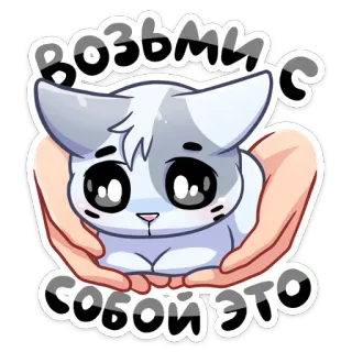 🤲 e7077d46 Возьми с собой это кот, милый, кавайный, животное, питомец, домашнее животное, мем с котом telegram sticker