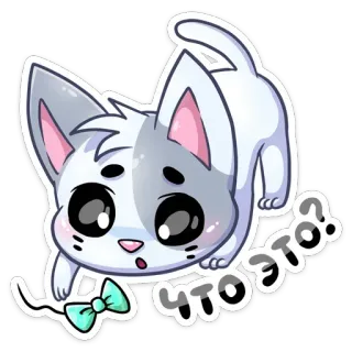 🤨 1d052227 Что это? Katze, Frage, Kätzchen, süß, Tier telegram sticker