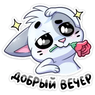 🌹 6308ad25 Добрый вечер Katze, Blume, Abend, süß, kawaii, funkeln telegram sticker