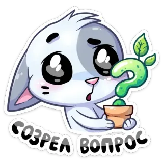 ❓ a64a76b3 СОЗРЕЛ ВОПРОС Frage, Katze, süß, denkend, verwirrt telegram sticker