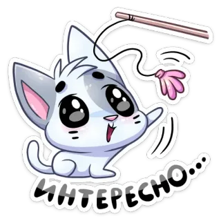 🤔 d5a5eca3 ИНТЕРЕСНО... Katze, niedlich, verspielt, Kätzchen telegram sticker