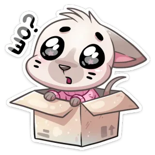 ❓ e0ad78ce EO? 猫, 盒子, 问题, 贴纸, 动物, 可爱 telegram sticker