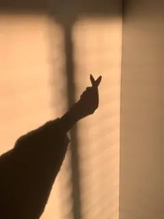 Bitch’s pack5 :: @fStikBot whatsapp stickers