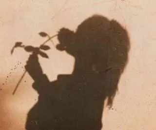 ➰ df8aed15 เงา, เงา, กุหลาบ, ดอกไม้, ผู้หญิง telegram sticker