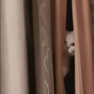 @Mobile_Legendssssss telegram stickers