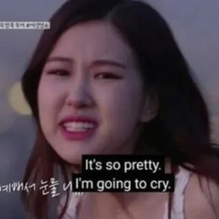 🥺 bdf60571 It's so pretty. I'm going to cry. crying, emotional, pretty, rose, korean telegram sticker