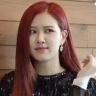 — blackpink — whatsapp stickers