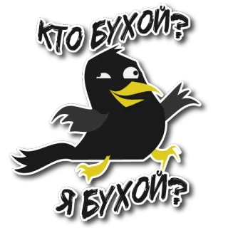 🤪 02056ee0 КТО БУХОЙ? 
Я БУХОЙ? corbeau, oiseau, ivre, alcool, dessin animé telegram sticker