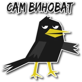 🧐 1a482c9d САМ ВИНОВАТ oiseau, dessin animé, texte, illustration, typographie telegram sticker