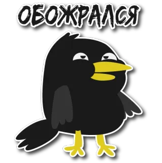 🥴 4a4eb2e2 ОБОЖРАЛСЯ oiseau, mignon, dessin animé, humour, drôle, animal telegram sticker