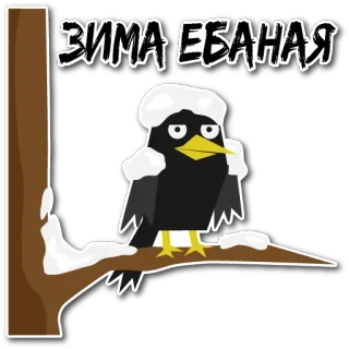 🥶 a30f94a8 ЗИМА ЕБАНАЯ hiver, neige, oiseau, froid, dessin animé, malédiction telegram sticker