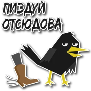 Дрозд Мерл (@cute_enot_art) telegram stickers