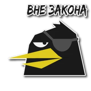 ⛔️ e2d2a7bf ВНЕ ЗАКОНА oiseau, pirate, cache-œil, noir, dessin animé telegram sticker