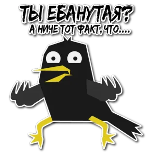 🙄 f6ad7f10 ТЫ ЕБАНУТАЯ?
А НИЧЕ ТОТ ФАКТ, ЧТО.... oiseau, russe, offensant, argot, drôle telegram sticker