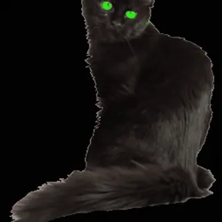 Black Cat / Черные кошки @freetopsticker telegram stickers