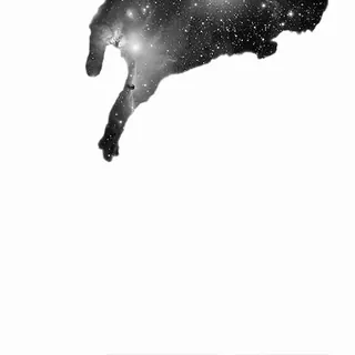 Black Cat / Черные кошки @freetopsticker telegram stickers