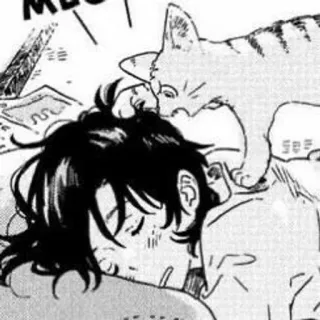 🖤 4cd74304 kat, slapen, persoon, huisdier, schattig telegram sticker