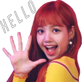 👋 548ceb07 Lisa HELLO saludo, saludando, persona, k-pop, cantante, hola, mujer whatsapp sticker