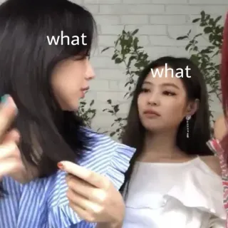 🤔 382bd408 what what cewek, teman, pertanyaan, keraguan, ekspresi, kebingungan telegram sticker