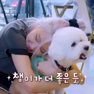 🖤 fc302bf8 챙이가 더 좋은 듯 狗, 女人, 拥抱, 喜爱, 宠物, 友谊 telegram sticker