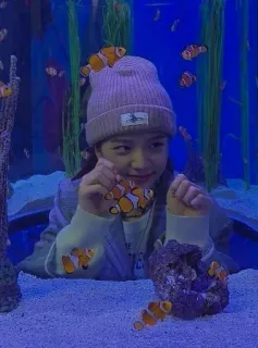 🐠 97d1ed03 Frau, Hut, Aquarium, Fisch, Nemo, Clownfisch telegram sticker