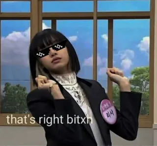 😎 d40d6b6e that's right bitxh Meme, Sonnenbrille, lustig, Internetkultur, Pixelbrille telegram sticker