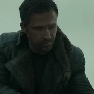 🌻 651d59dc Ryan Gosling Ryan Gosling, actor, portrait, man, movie character telegram sticker