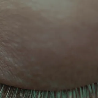 👁 7555331c telegram sticker