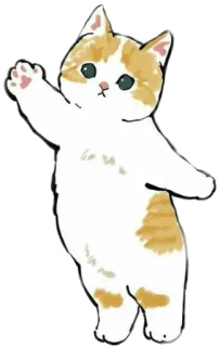 🌙 49167a0e cat, kitten, animal, cute, waving, friendly, greeting whatsapp sticker