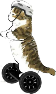 🛴 5b262ada cat, animal, helmet, scooter, funny, digital art, cute whatsapp sticker
