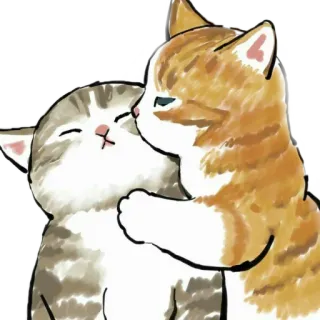 🥰 7894a7ed cat, kitten, cute, pet, animal, friendship, affection, cuddle whatsapp sticker