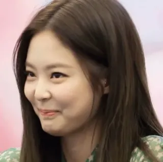 🥟 e2d4db4b Jennie Jennie, cantante, k-pop, donna, celebrità, BLACKPINK telegram sticker