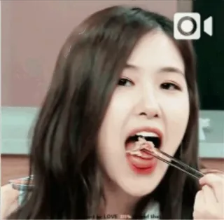 🥄 e9fb43ae LOVE ผู้หญิง, กิน, เอเชีย, เกาหลี, อาหาร, ตะเกียบ telegram sticker