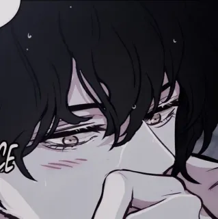 🗞 41d955f5 telegram sticker