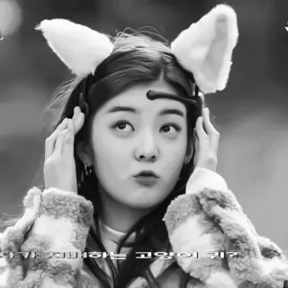 🦊 1e616f14 내가 소비하는 고양이의 털? kat, oren, vrouw, dier, schattig, vacht, poes, haarband telegram sticker