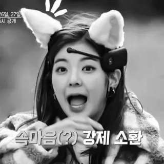 🦊 56d427bf 속마음(?) 강제 소환 persoon, vrouw, microfoon, Koreaans, oren, zwart wit telegram sticker