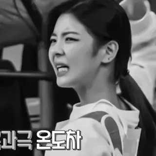 🦊 5d854a25 과극 온도차 vrouw, uitdrukking, gezicht, Koreaans, persoon telegram sticker